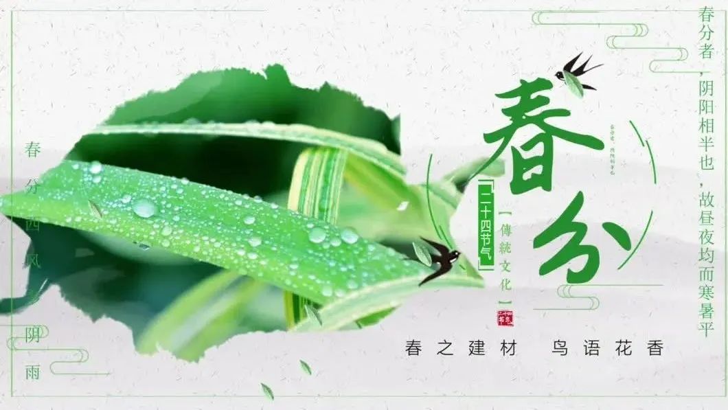 今日春分 | 春之建材，鳥語花香